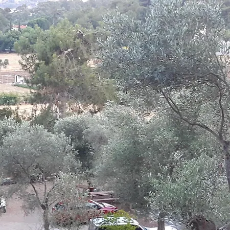 דירה Daily Sarigerme *